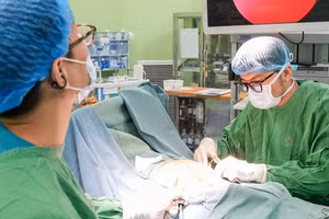 Bác sĩ can thiệp phẫu thuật cho bệnh nhi. 