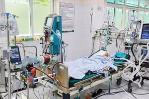 Bệnh nhân điều trị tại khoa Hồi sức tích cực Chống độc.