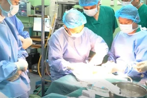 Thực hiện ca ghép gan cho bệnh nhi nhỏ tuổi từ người hiến chết não.