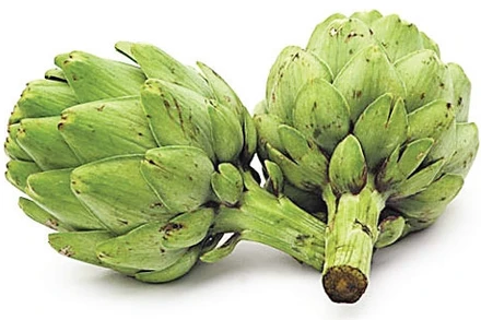 Hoa atisô - Sinh lực bữa giao mùa 