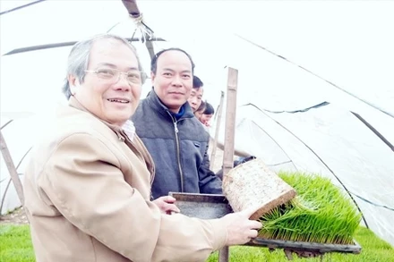 TS Lê Văn Tri thăm một số đơn vị sản xuất mạ khay do Công ty Cổ phần công nghệ sinh học chuyển giao công nghệ.