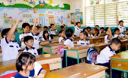 Nhiều chuyên gia cho rằng không nên tổ chức lớp chọn ở cấp Tiểu học và THCS, nhưng có thể tổ chức lớp chuyên ở cấp THPT.