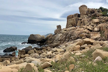 Bản hợp ca đá núi & đại dương