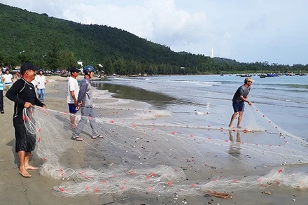 Kéo lưới vây ở biển Sơn Trà.