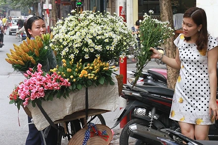 Cúc họa mi theo chân xe hàng rong về phố. Ảnh: Lê MINH