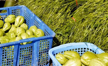 Biến tấu với su su 