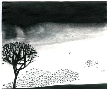 Trên cánh đồng tháng Mười