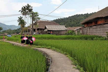 Hành trình trở về tuổi thơ