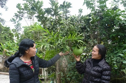 Nương tựa vào nhau, những người phụ nữ kém may mắn này đang cùng tìm lại niềm vui sống cho mình và người thân.