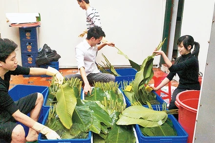 Những học viên của KOTO gói bánh chưng tặng người nghèo.