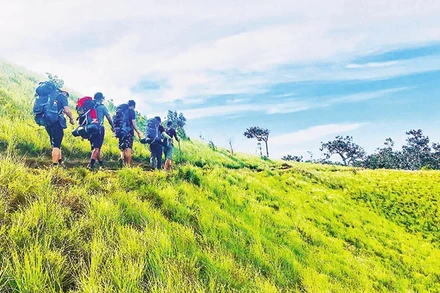 (1) Lữ khách tìm về con đường “hạt muối năm xưa” trên cao nguyên Di Linh.