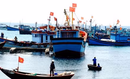 Tàu cá Việt Nam. (Ảnh: dantri.com.vn)