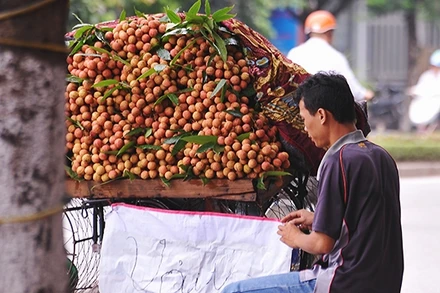 Nhiều người bán hàng không hề biết đề án cấm bán hoa quả rong.