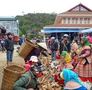 Hương sắc ba miền 