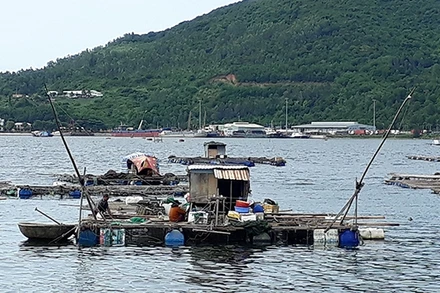 Nhiều hộ nuôi cá bè cố gắng vượt qua khó khăn để mưu sinh.