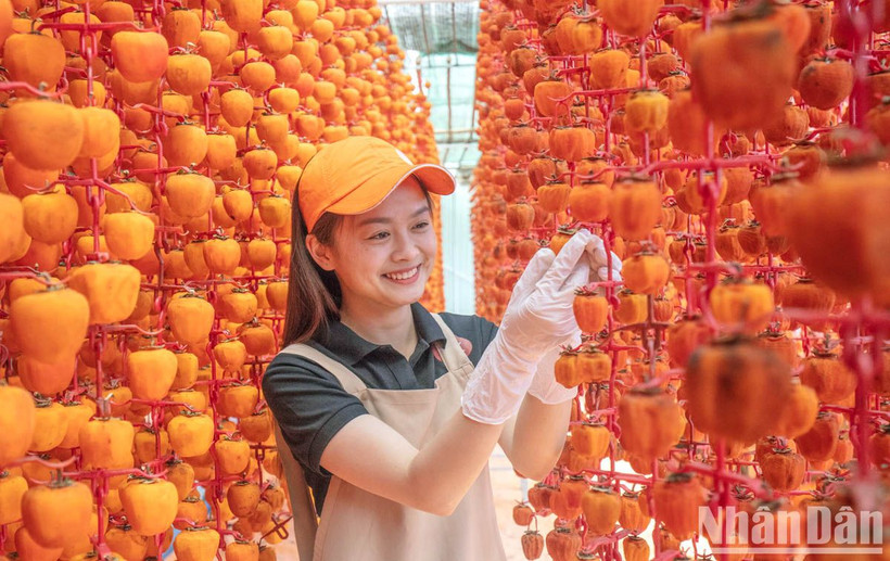 Hồng ăn quả và các sản phẩm từ quả hồng được sử dụng thương hiệu “Đà Lạt - Kết tinh kỳ diệu từ đất lành”.