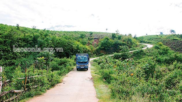 Ảnh minh họa: Đường về các bản vùng cao huyện Bắc Yên được bê tông hóa. (Nguồn: Báo Sơn La)