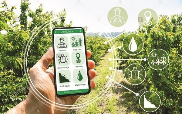 Chuyển đổi số nông nghiệp, nông thôn để xây dựng làng thông minh. (Ảnh minh họa)