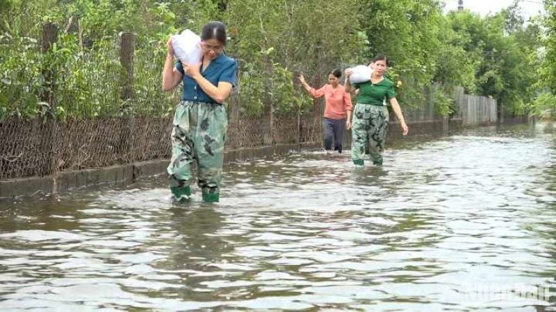 Các khu dân cư thôn Bình Minh, Thuận Nghiệp, Tiền Phong thuộc xã Bách Thuận (Vũ Thư, tỉnh Thái Bình) nước vẫn ngập sâu. (Ảnh chụp ngày 19/9/2024)