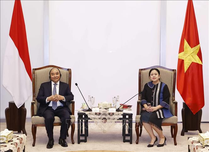 Ảnh minh họa: Chủ tịch nước Nguyễn Xuân Phúc hội kiến Chủ tịch Hội đồng Đại biểu nhân dân Indonesia, bà Puan Maharani. (Ảnh: TTXVN)