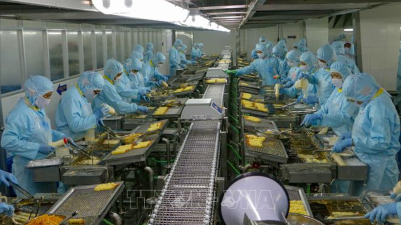 Ảnh minh họa: Công nhân tại Công ty Seavina (Khu công nghiệp Trà Nóc, quận Bình Thủy, thành phố Cần Thơ). (Ảnh: TTXVN)