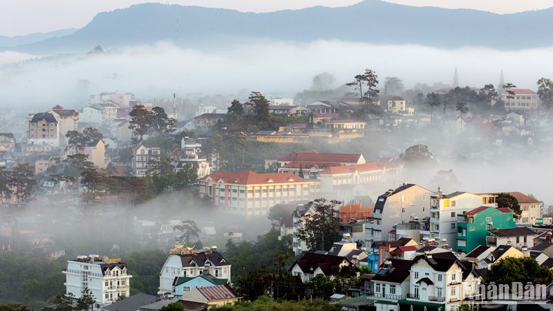 Phố núi Đà Lạt trong sương.