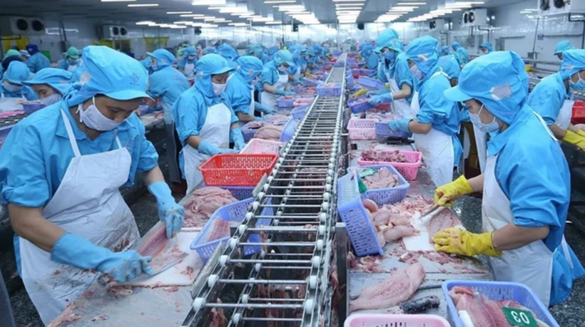 Ảnh minh họa: Chế biến thủy sản xuất khẩu. (Nguồn: TTXVN)