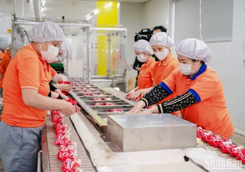 Hoạt động của các doanh nghiệp lớn như Công ty cổ phần Quốc tế Bảo Hưng có bước tăng trưởng khá và ổn định.