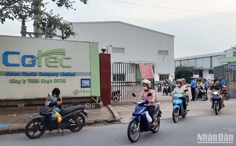 Đời sống của người lao động bị ảnh hưởng không nhỏ do hoạt động sản xuất, kinh doanh của các doanh nghiệp trên địa bàn tỉnh Thái Bình gặp khó khăn.