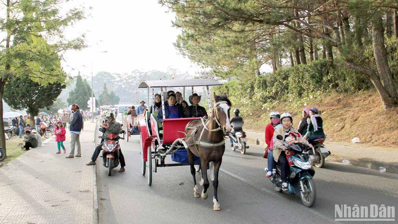 Dịch vụ xe ngựa tham quan quanh hồ Xuân Hương-Đà Lạt từng hấp dẫn du khách. 