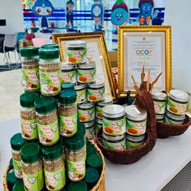 Tiêu lốp Kiết Tường