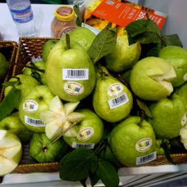 Ổi sạch Thanh Kiên