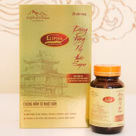 Viên nang đông trùng hạ thảo Sapa 