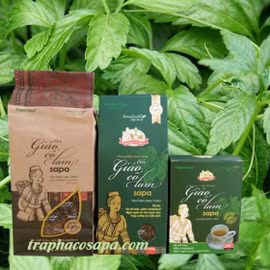 Trà giảo cổ lam Sa Pa 