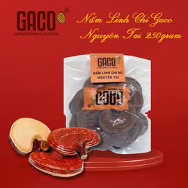 Nấm linh chi Hồng Ân