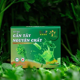 Bột cần tây sấy lạnh nguyên chất Dalat Ichifoods 