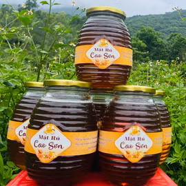 Mật ong rú Cao Sơn