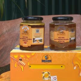 Mật ong nơi thượng nguồn sông Đà 