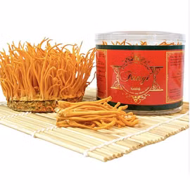 Nấm đông trùng hạ thảo tươi Fungi