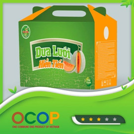 Dưa lưới Hiền Tiến