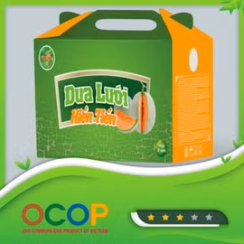 Dưa lưới Hiền Tiến