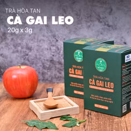 Trà hòa tan cà gai leo Pù Mát