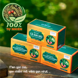 Trà túi lọc Cà gai leo