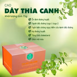 Cao dây thìa canh