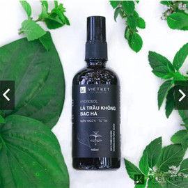 Hydrosol lá trầu không bạc hà