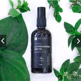 Hydrosol lá trầu không bạc hà