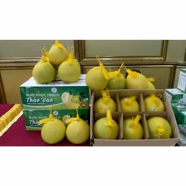 Bưởi Phúc Trạch Thảo Vân