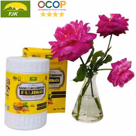 Nano Curcuminoid Fujiko