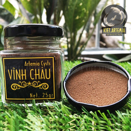 Trứng bào xác Artemia Vĩnh Châu