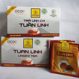 Trà nấm linh chi Tuấn Linh
